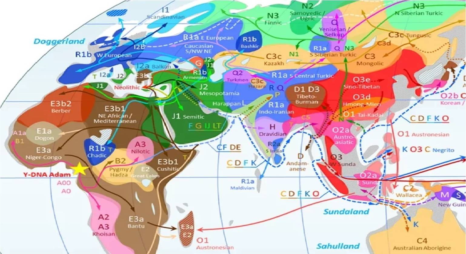 Генетическая карта человека онлайн